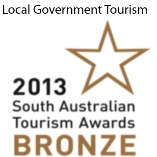 Bronze Award