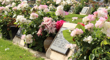 Picture of a cemetery