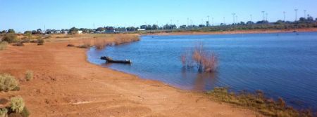 Wetlands Phoenix Park