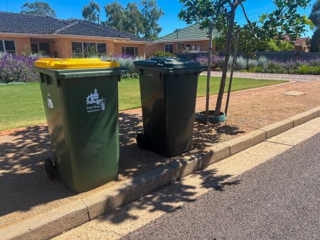 green and yellow bins
