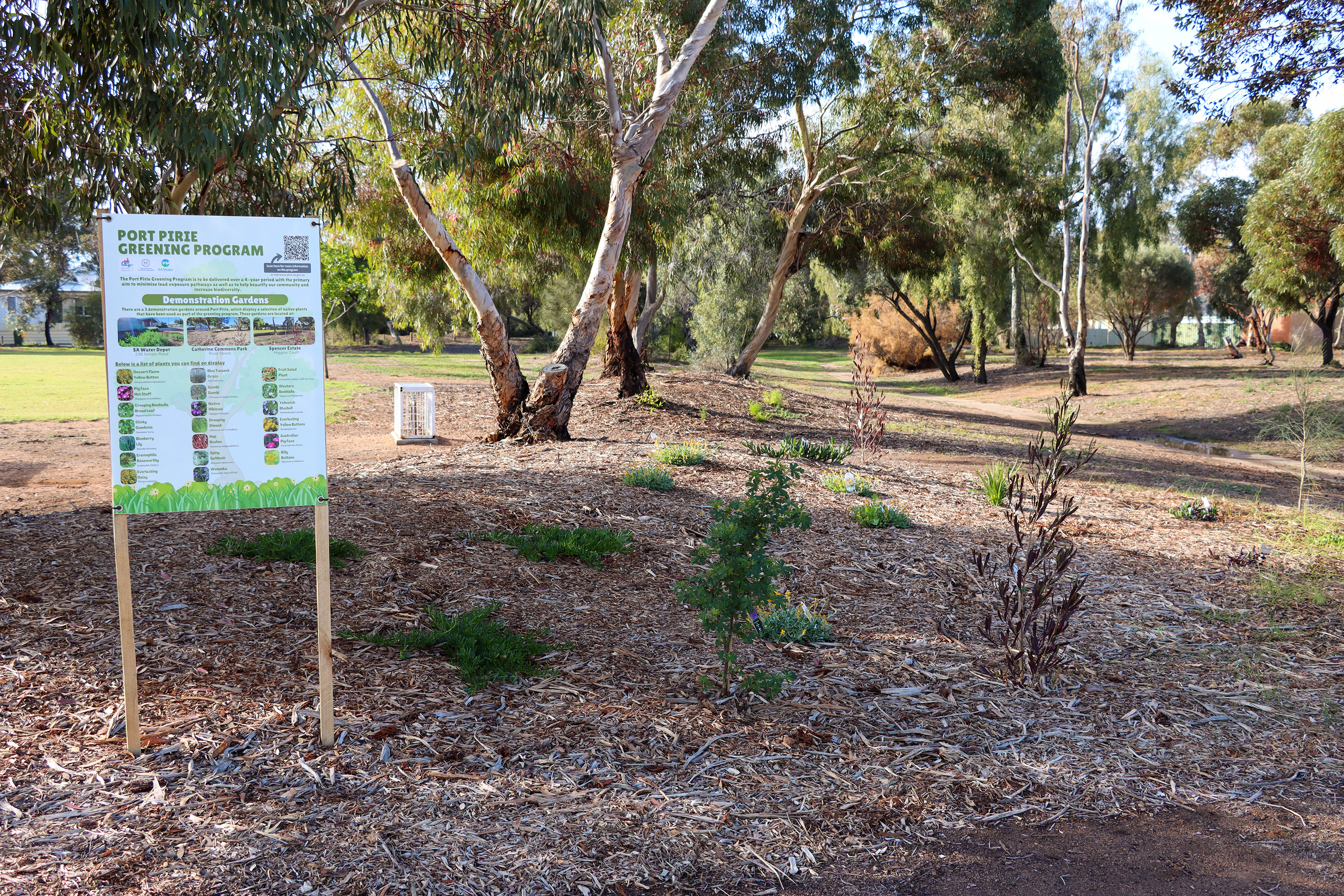 Demonstration garden at Catherine Common Park in Read Street, Port Pirie