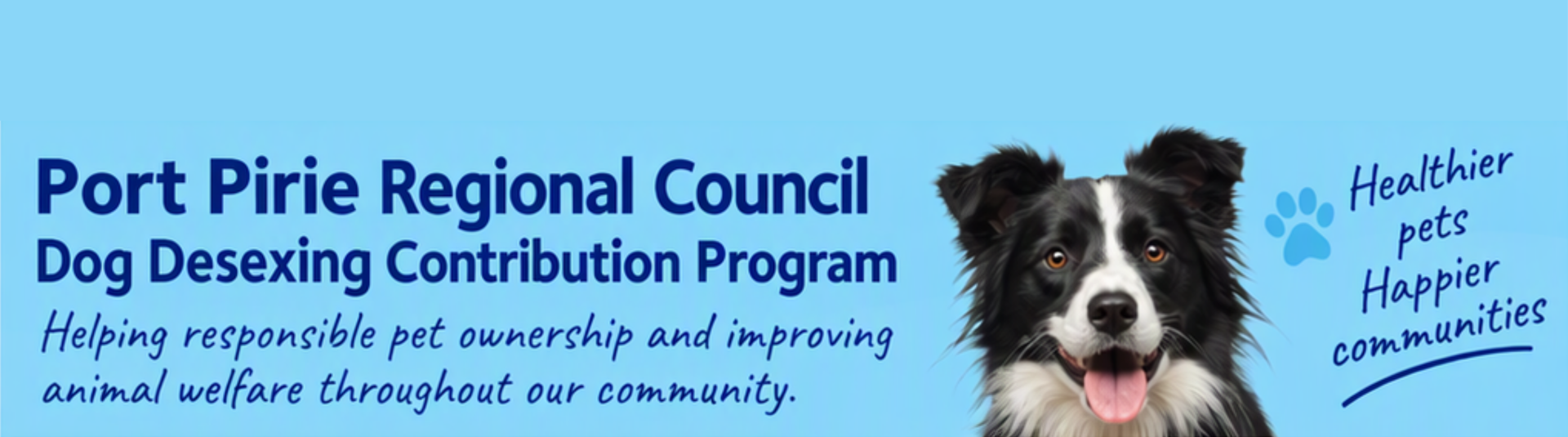 blue background with image of a dog