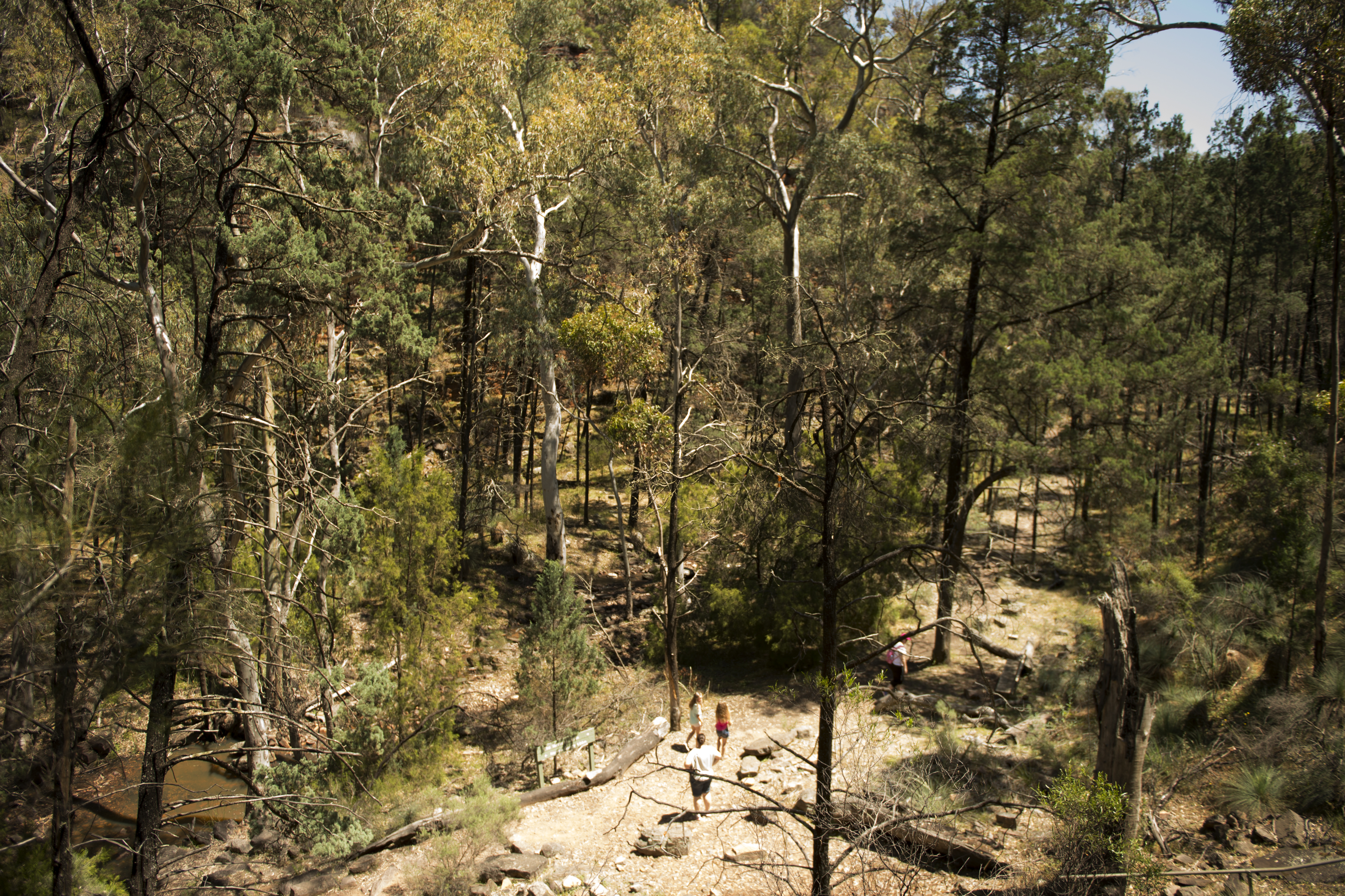 Alligator Gorge Alligator Gorge