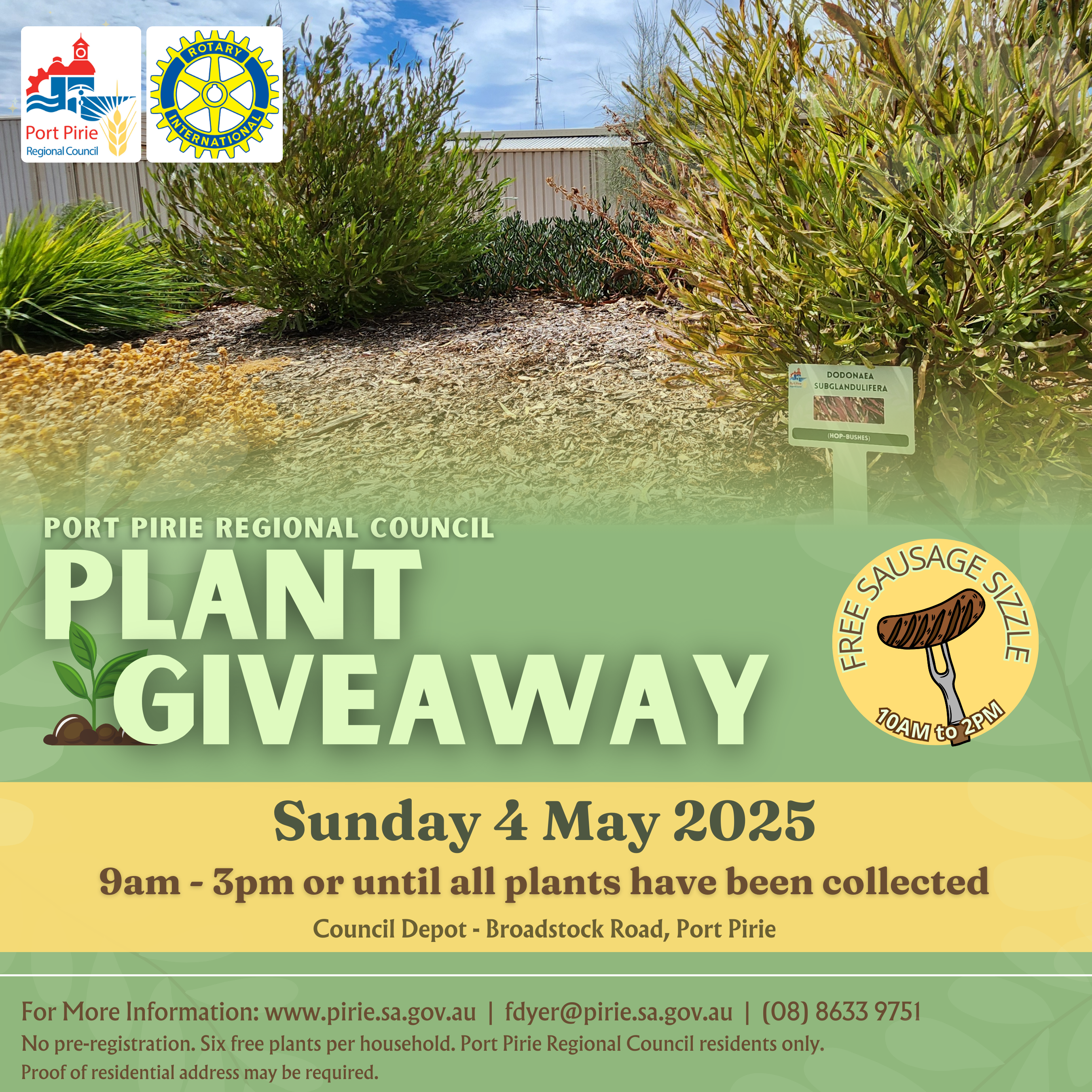 Flyer promoting Native Plant Giveaway at the Port Pirie Regional Council Works Depot on Broadstock Road, Port Pirie on Sunday 4 May 2025 from 9am to 3pm
