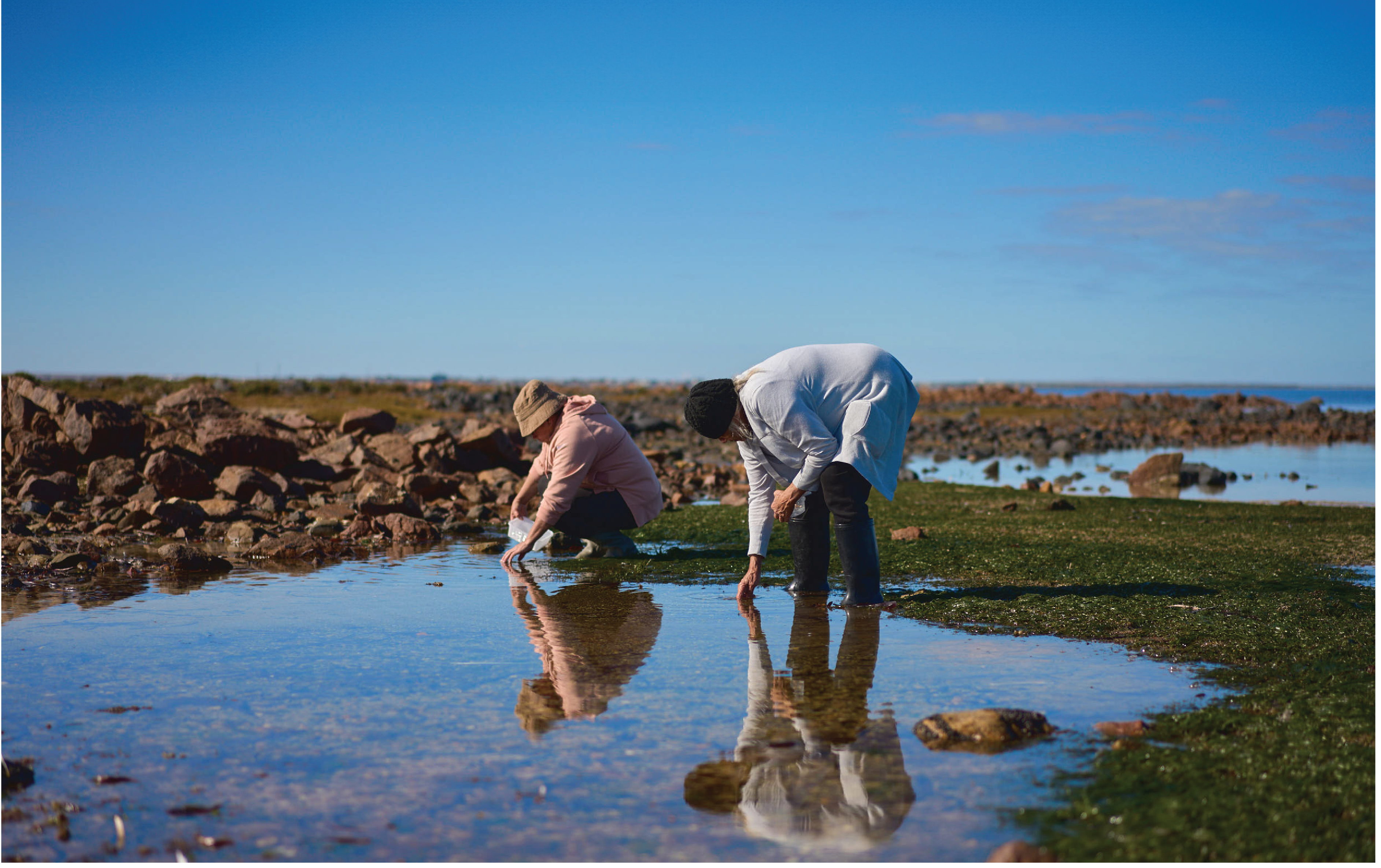 image of two people in saltbush