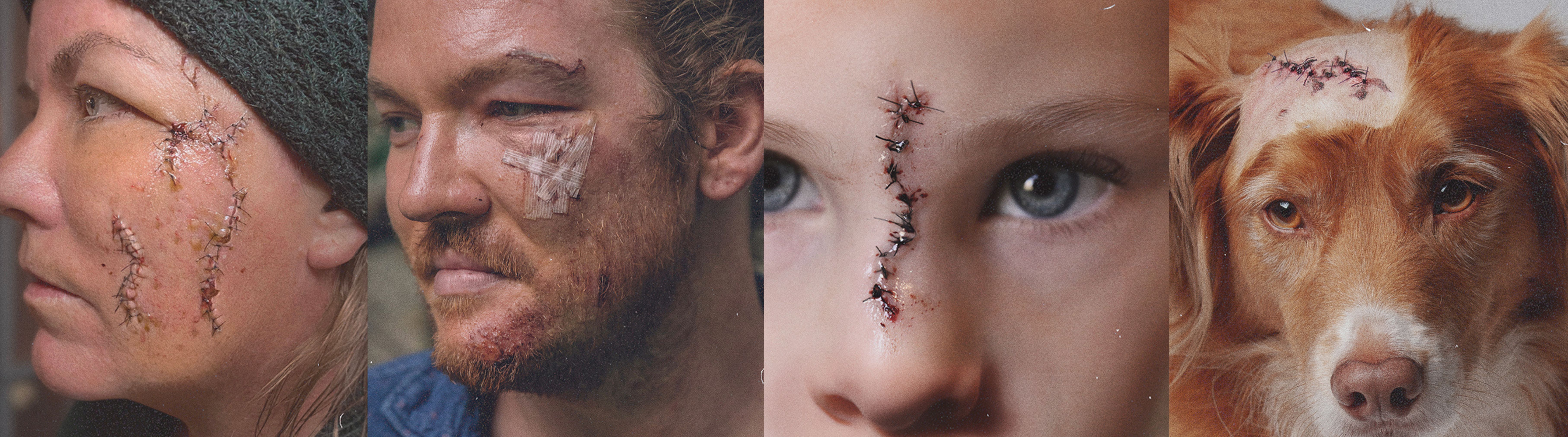 Series of Images from the Dog and Cat Board's Good Dogs Have Bad Days campaign